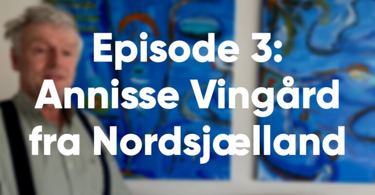 podcast-3-annisse-vingaard