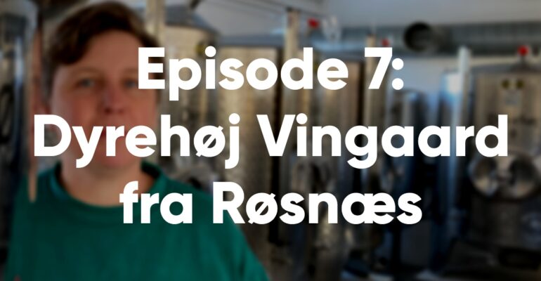episode-7-dyrehoj-vingaard